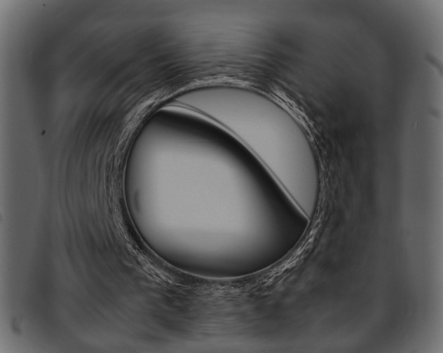 X0000094910193200711291007