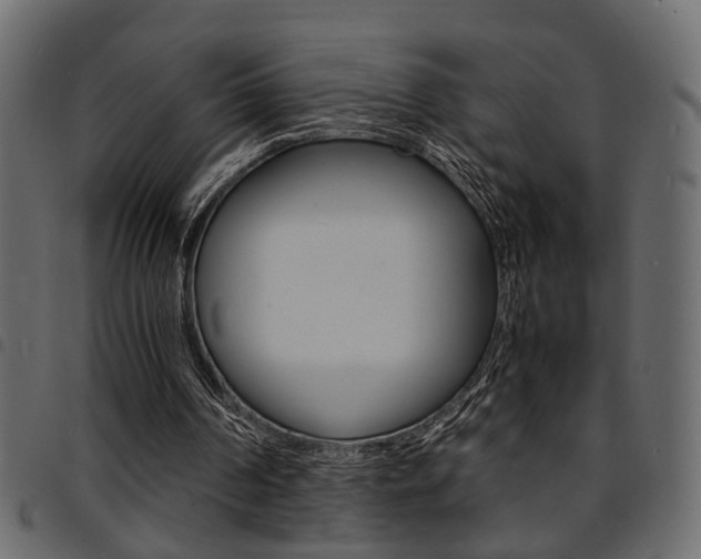 X0000094910194200711291007