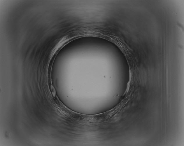 X0000094910195200711291007