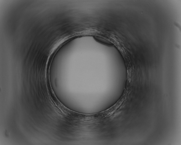 X0000094910196200711291007