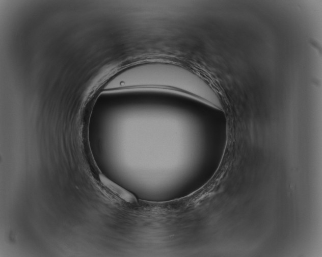 X0000094910197200711291007
