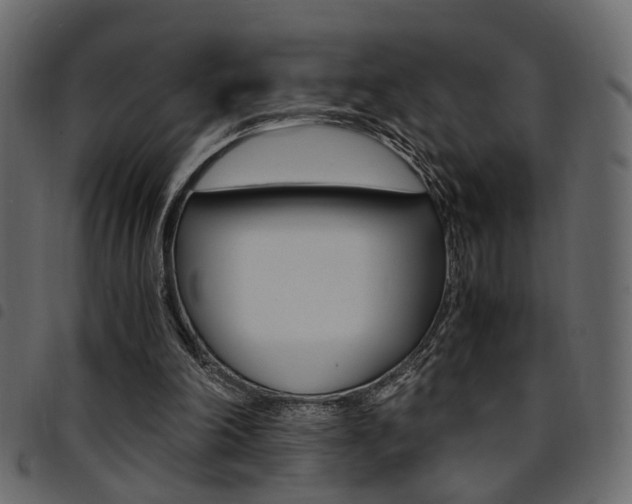 X0000094910198200711291007