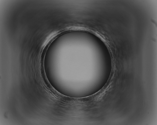 X0000094910199200711291007