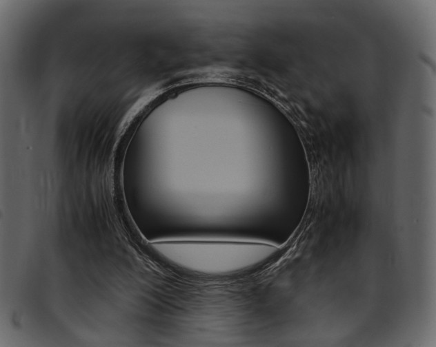 X0000094910200200711291007