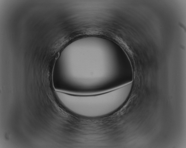 X0000094910201200711291007