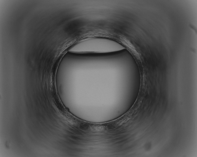 X0000094910202200711291007
