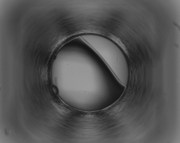 X0000094910204200711291007