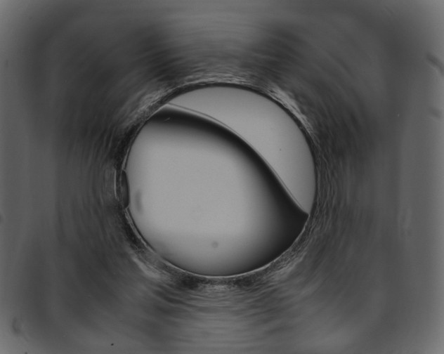 X0000094910205200711291007