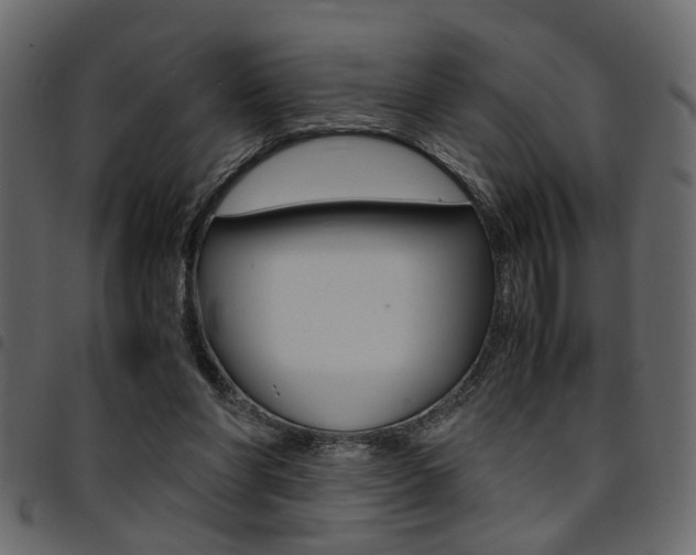 X0000094910206200711291007