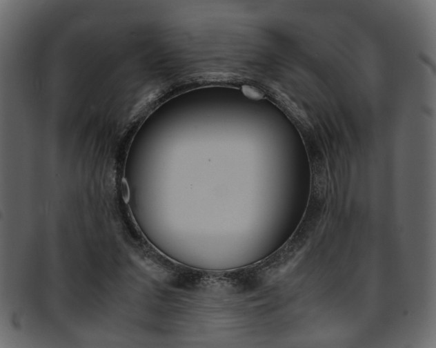 X0000094910207200711291007