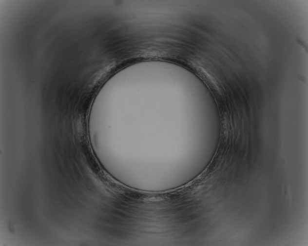X0000094910208200711291007