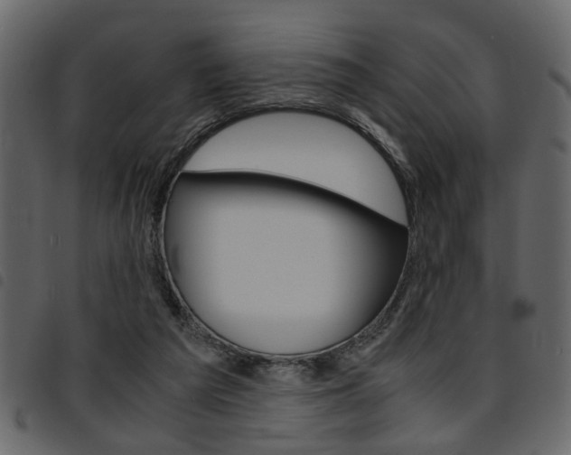X0000094910209200711291007