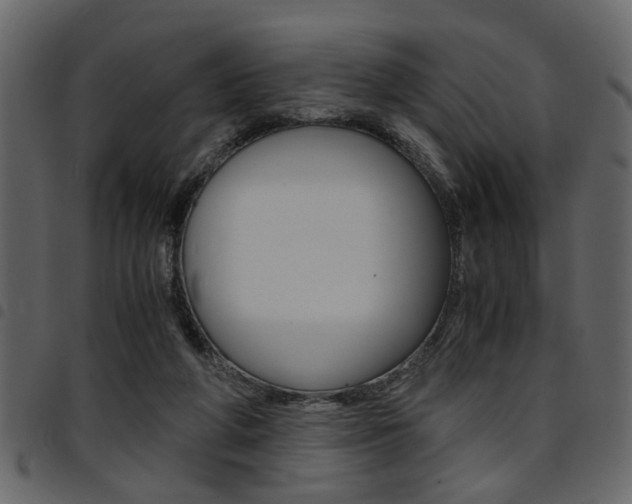 X0000094910210200711291007