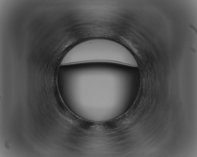 X0000094910211200711291007