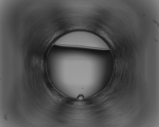 X0000094910212200711291007