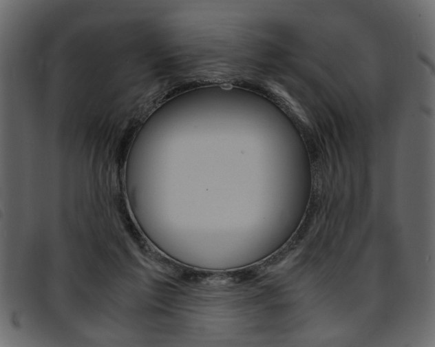 X0000094910213200711291007