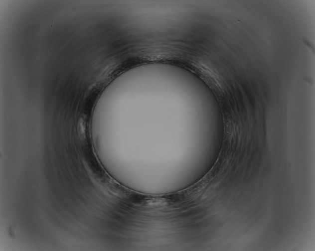 X0000094910214200711291007
