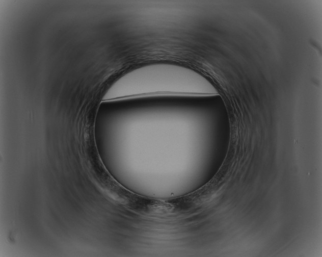 X0000094910215200711291007