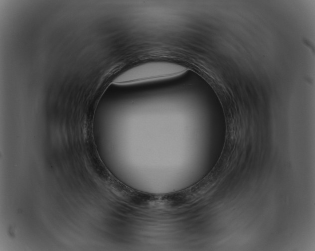 X0000094910216200711291007