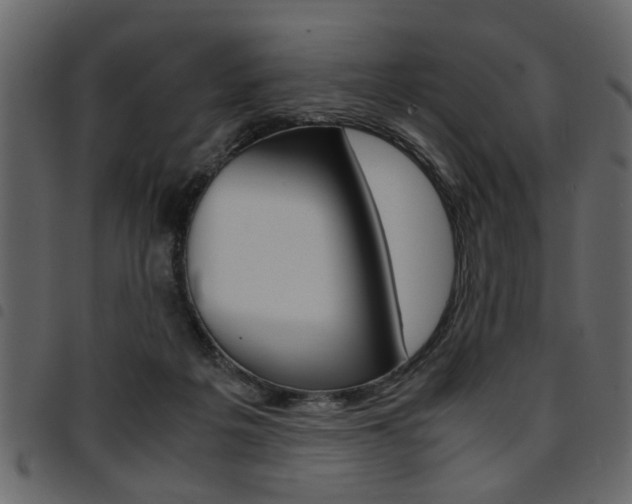 X0000094910217200711291007