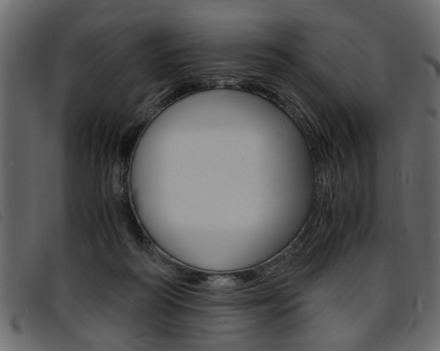 X0000094910218200711291007