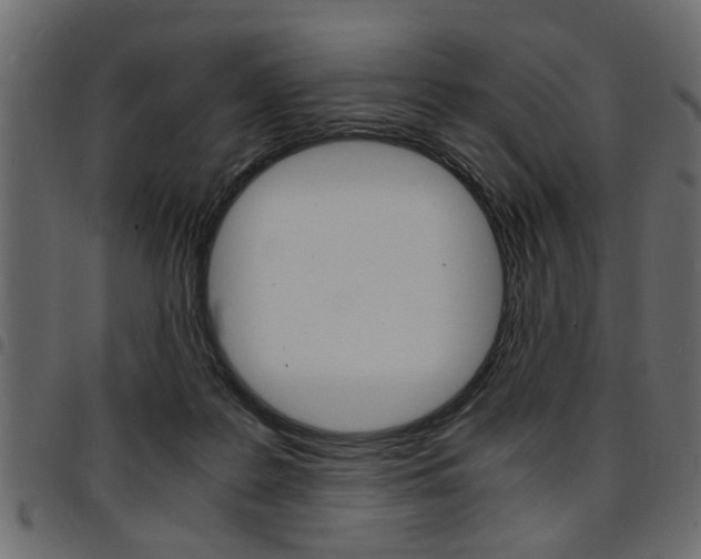 X0000094910219200711291007