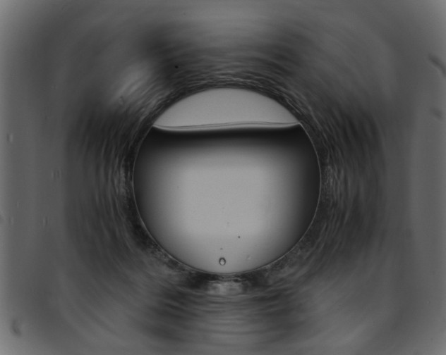 X0000094910220200711291007