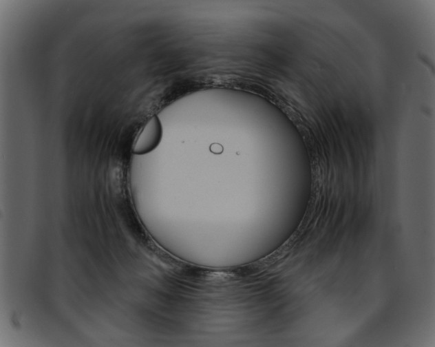 X0000094910222200711291007