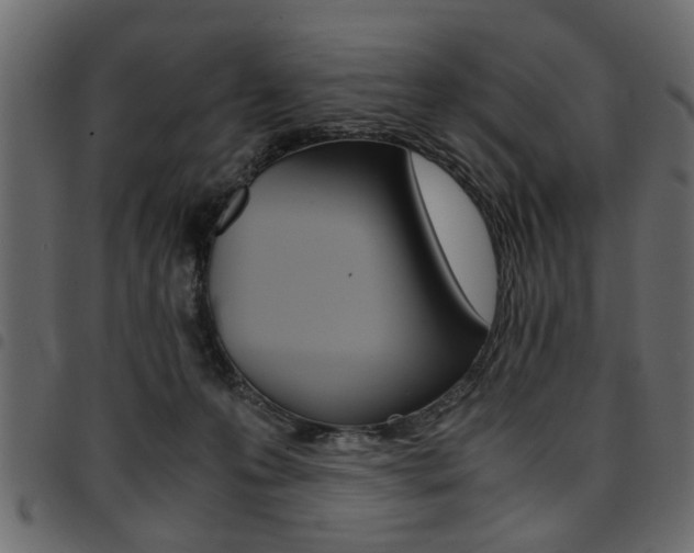X0000094910223200711291007