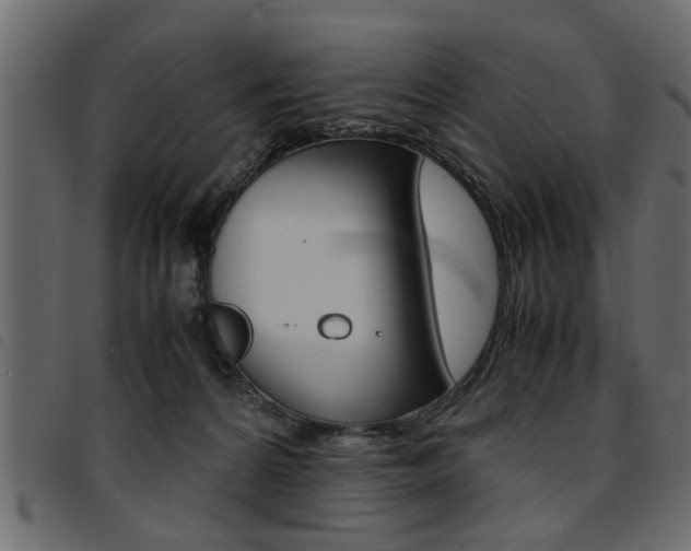 X0000094910224200711291007