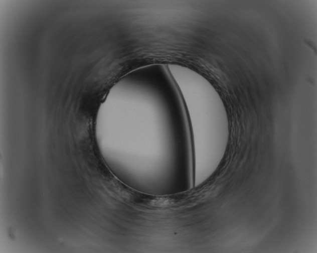 X0000094910225200711291007