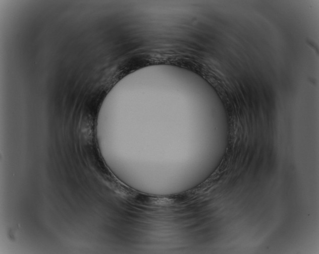X0000094910226200711291007