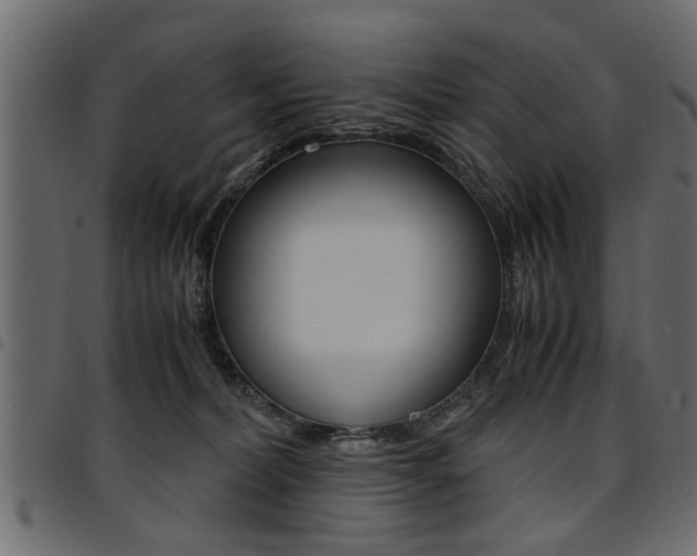 X0000094910228200711291007