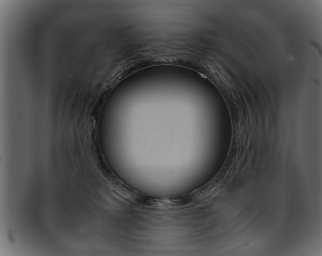 X0000094910229200711291007
