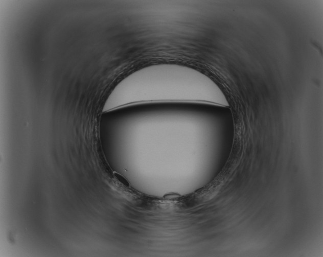 X0000094910233200711291007