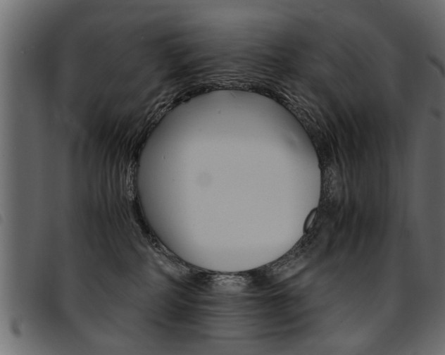 X0000094910234200711291007