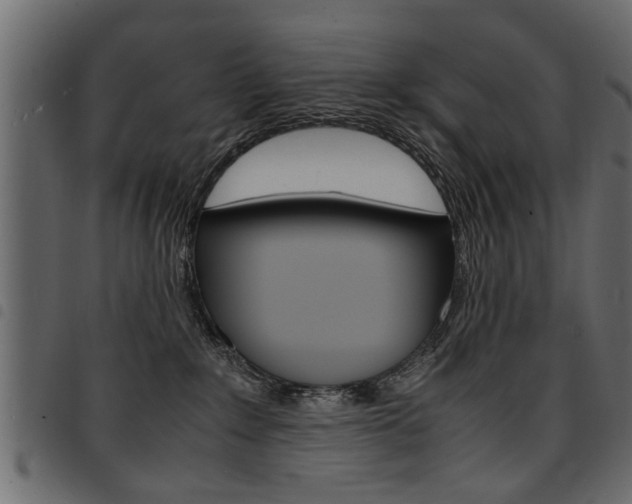 X0000094910235200711291007