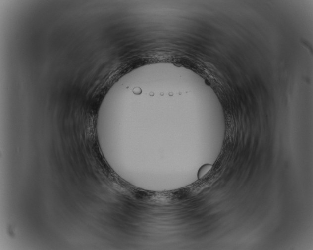 X0000094910236200711291007