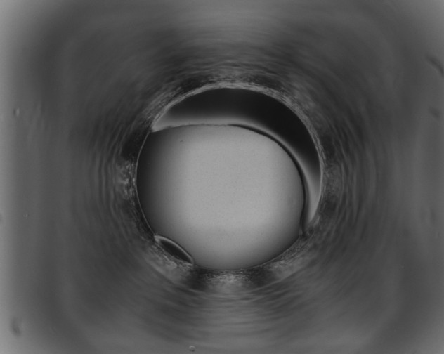 X0000094910237200711291006