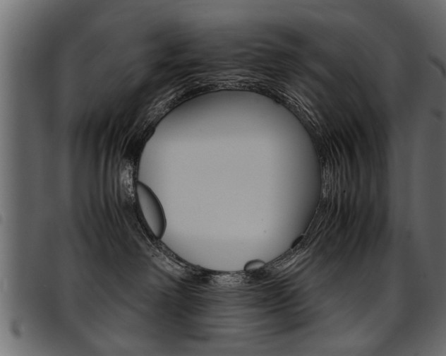 X0000094910238200711291006