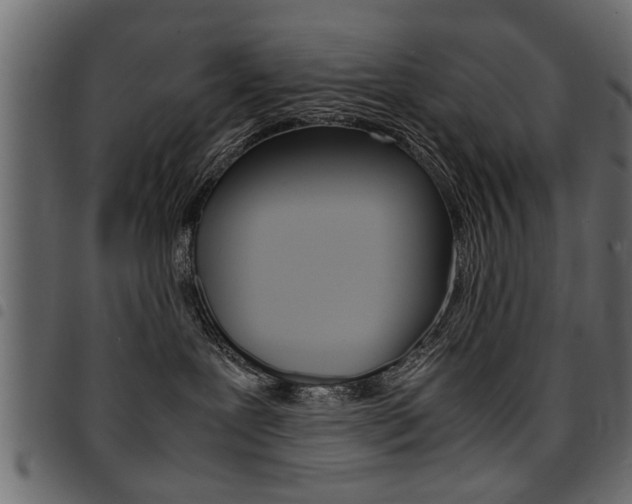 X0000094910239200711291006
