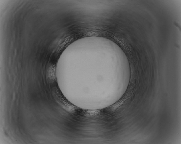 X0000094910240200711291006