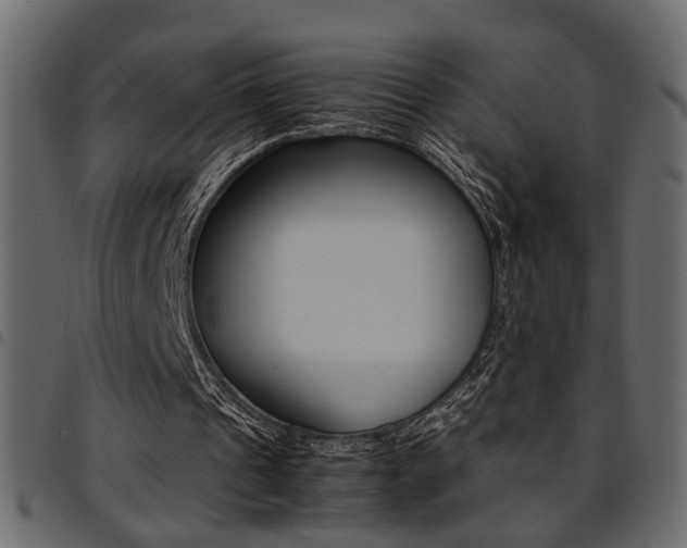 X0000094910241200711291006