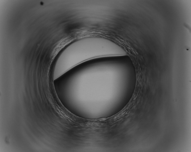 X0000094910242200711291006