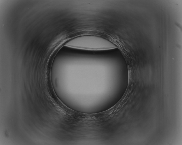 X0000094910243200711291006