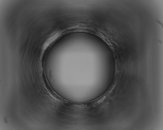 X0000094910245200711291006