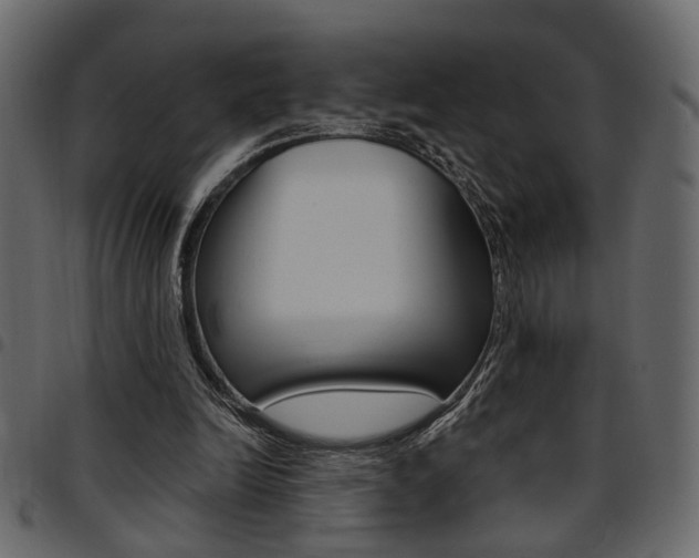 X0000094910246200711291006