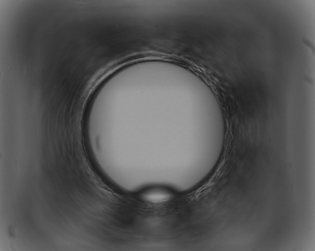 X0000094910247200711291006