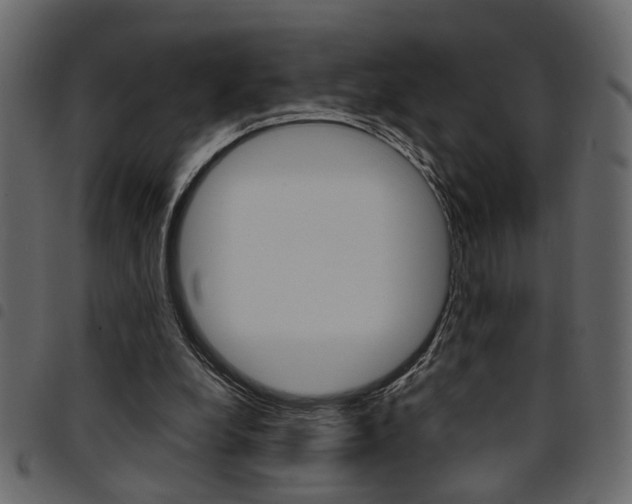 X0000094910248200711291006