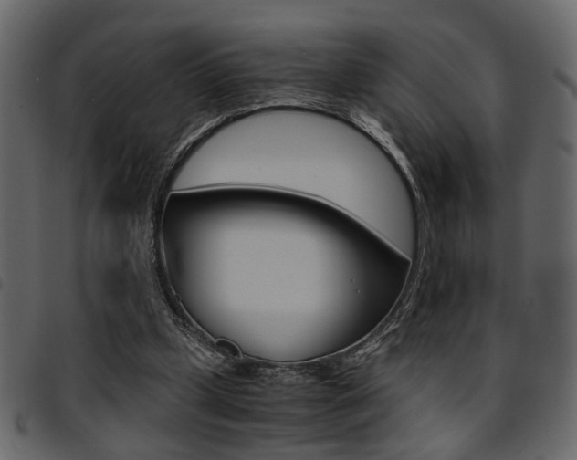 X0000094910249200711291006